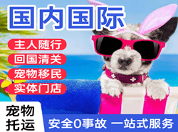 琼海航空运输国际宠物托运 【国